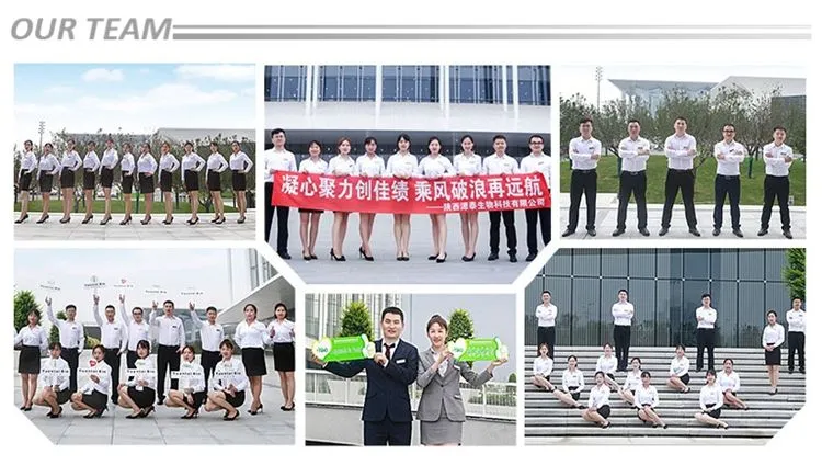 Supply 10%70% Black Sesame Seed Extract Sesamin