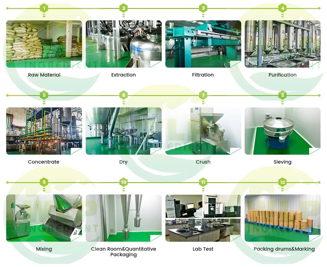 Supply Chinese Moringa Leaf Powder