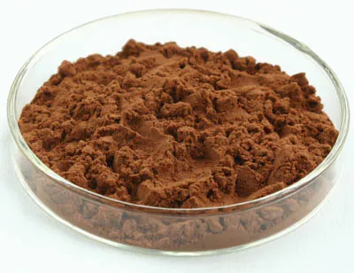 Supply Grape Seed Extract for Functional Food