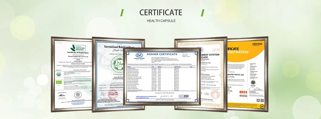 Supply High Quality Garcinia Cambogia Extract Hca50%- 60% with Best Price