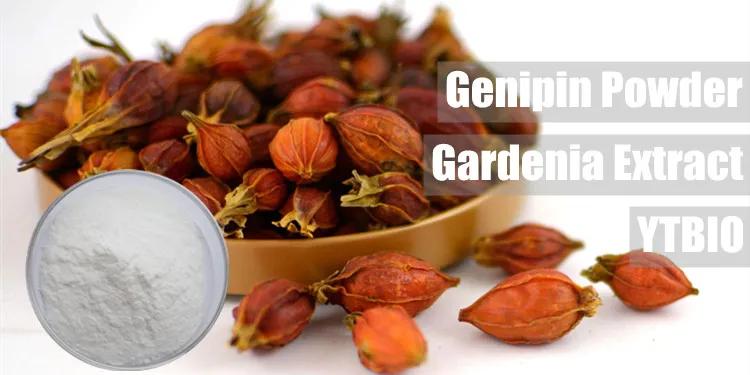 Supply Pharmaceutical Grade 98% Genipin