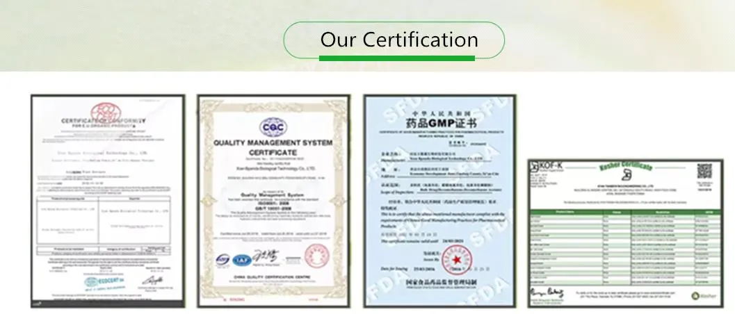 Top Quality 25% Anthocyanidin CAS 84082-34-8 Bilberry Extract