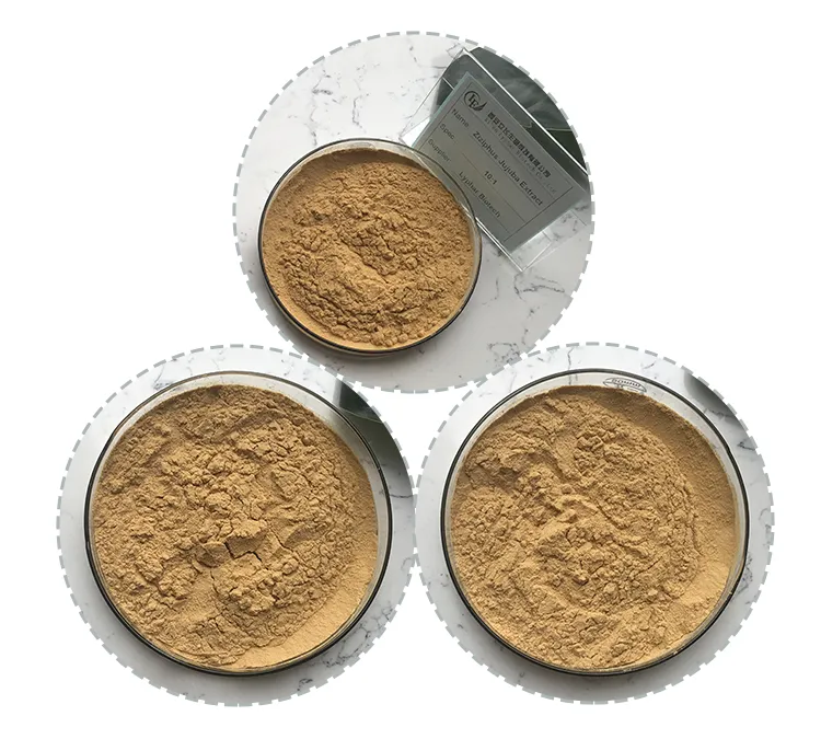 Top Quality and Competitive Price Ziziphus Jujube Extract