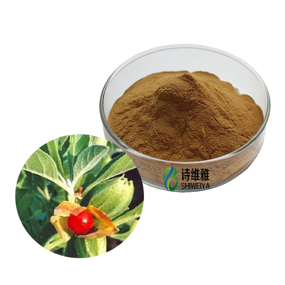 Top Quality Ashwagandha Powder Root Extract 5% Ashwagandha Extract