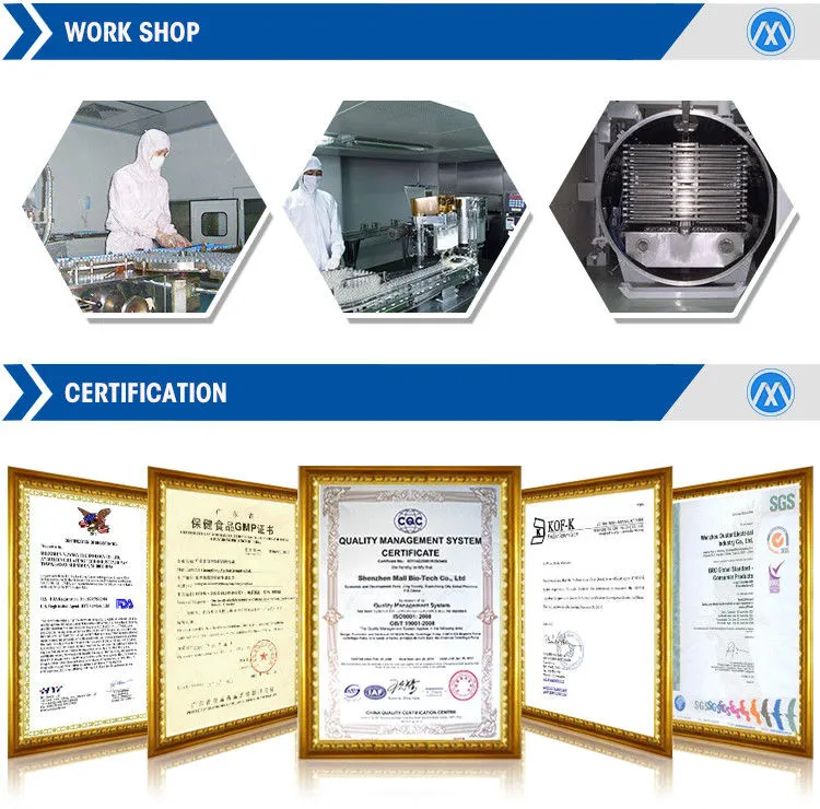 Top Quality Organic Natural Powder Lion′s Mane Mushroom Extract