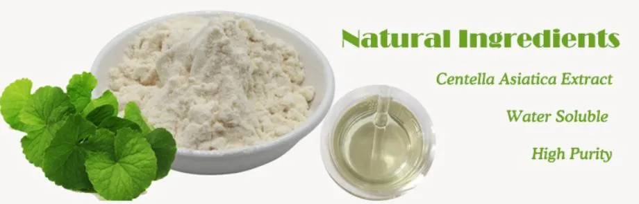 Triterpenoid Glycosides Powder Hydrocotyle Asiatica Extract/Centella Asiatica Extract /Gotu Kola Extract Centella Asiatica