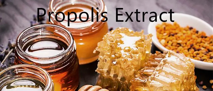 Water-Soluble Bee Propolis Liquid Extract Powder