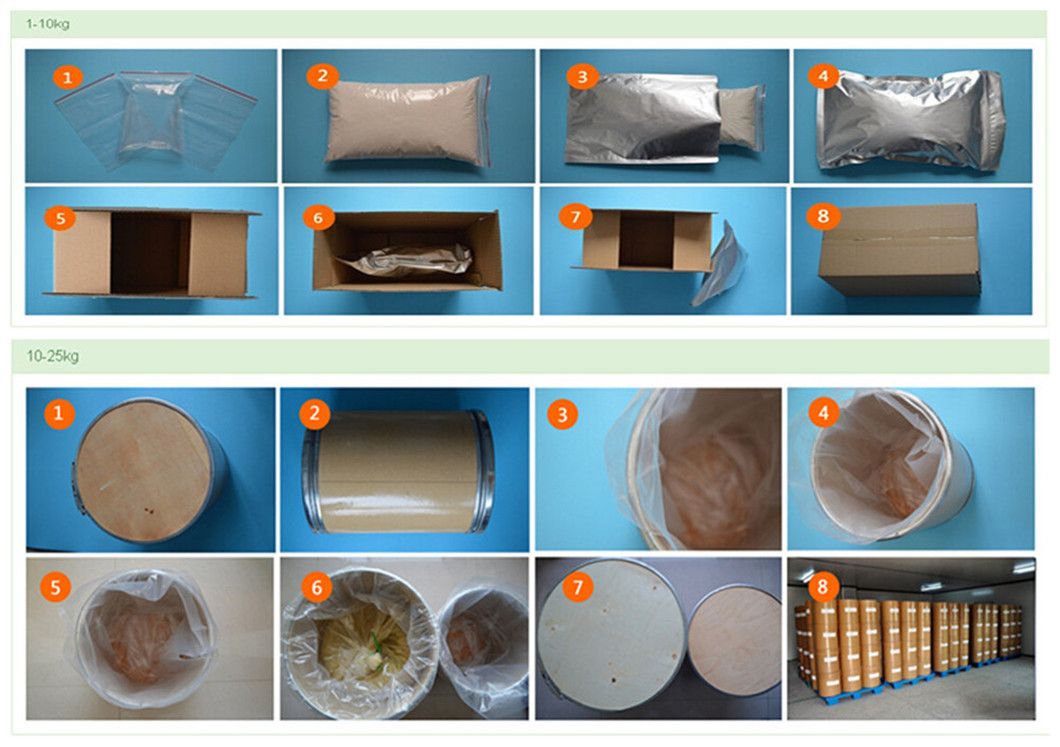 Water Soluble Herb Extract Angelica Extract Powder with Ligustilide 0.6%- 1% HPLC Dong Quai Extract Powder