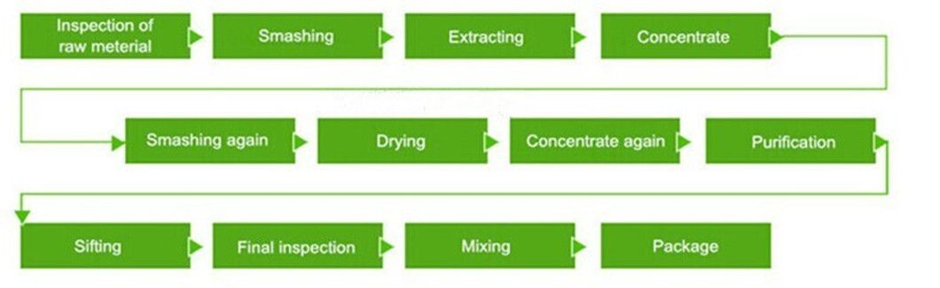 Water Soluble Herb Extract Angelica Extract Powder with Ligustilide 0.6%- 1% HPLC Dong Quai Extract Powder