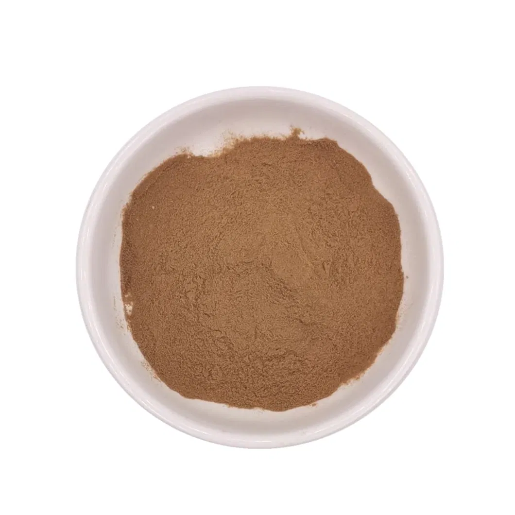 Water Soluble Semen Cassiae Seed Extract 10: 1