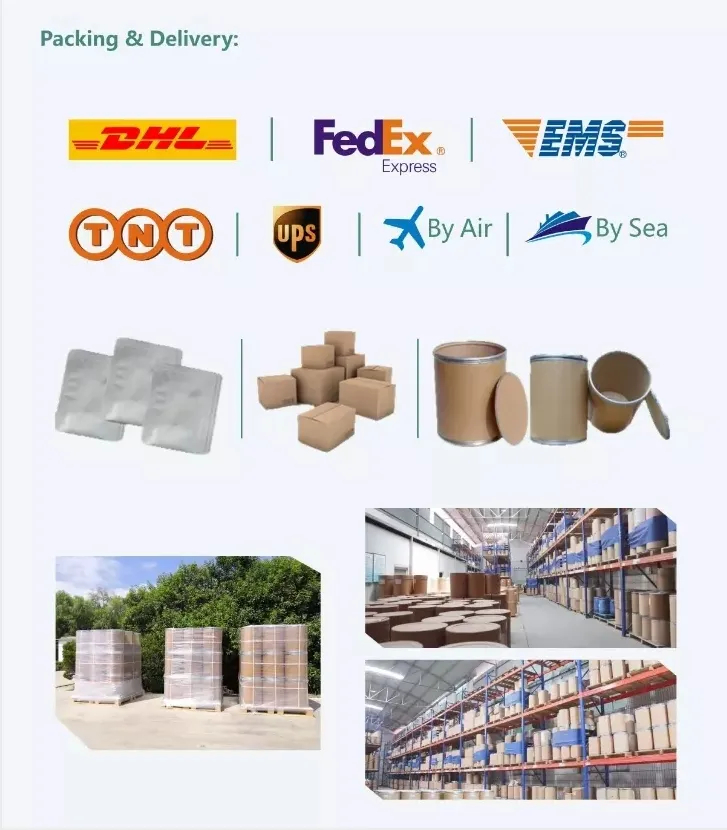 Water Soluble Semen Cassiae Seed Extract 10: 1