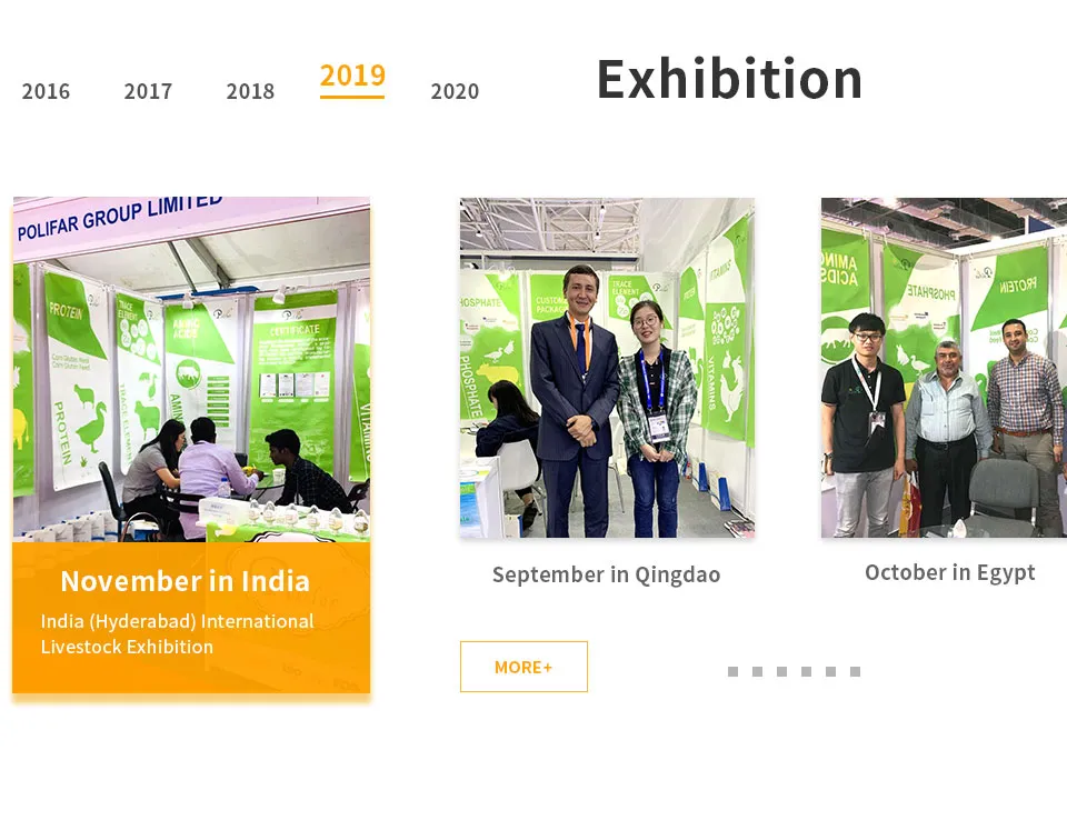 White Powder DC/Dicalcium Phosphate Feed Grade with Famiqs