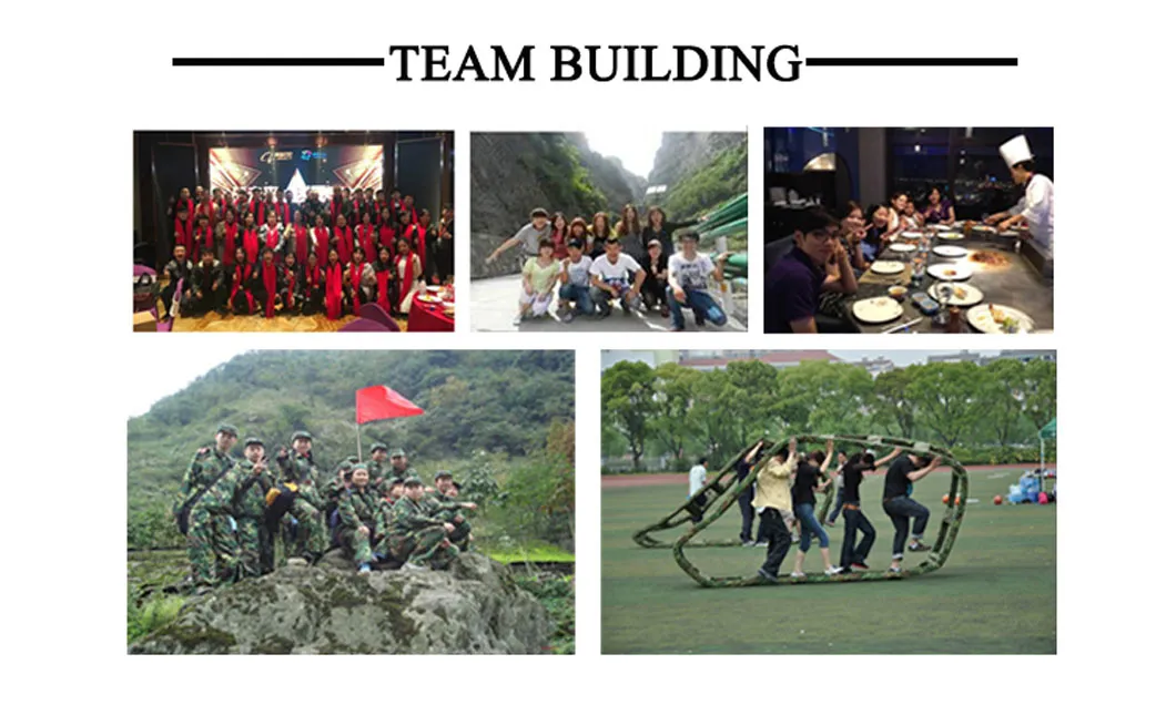 Wholesale L-Lysine CAS 56-87-1//L-Lysine Hydrochloride/L-Lysine HCl CAS 657-27-2//L-Isoleucine CAS 73-32-5//L-Valine CAS 72-18-4//CAS 73-22-3 L-Tryptophan