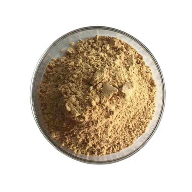 Wholesale Mushroom Tincture Nature Mushroom Powder Organic Mushroom Powder