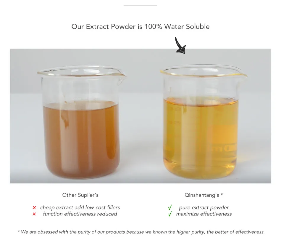 Wholesale Mushroom Tincture Nature Mushroom Powder Organic Mushroom Powder