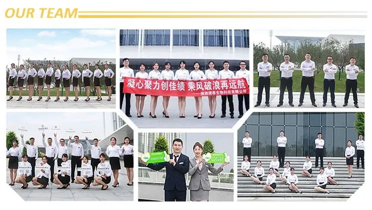 Wholesale Pure Natural Powder 98% Genipin