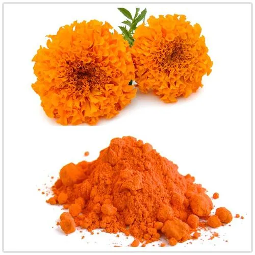 Wholesale Zeaxanthin 5% 10% 20% by HPLC