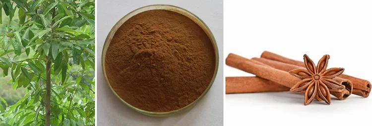 Xi`an SOST Wholesale EU Organic Ceylon Cinnamon Extract Powder