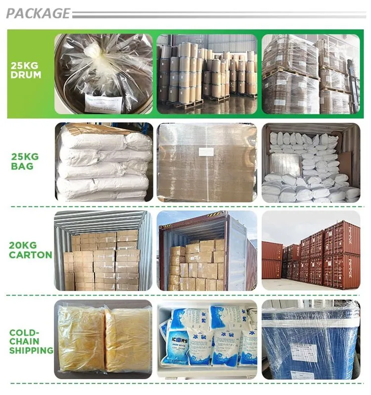 Ytbio Supply Natural Aniseed Extract