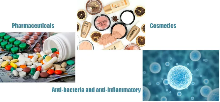 Ytbio Supply Natural Aniseed Extract